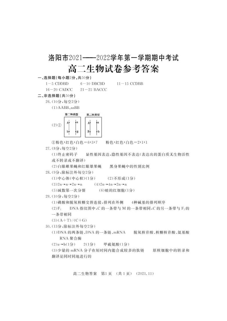 河南省洛阳市2021-2022学年高二上学期期中考试生物试题扫描版含答案01
