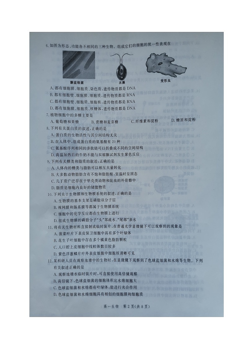 张家口市2021—2022学年高一年级第一学期期中考试生物试卷第2页