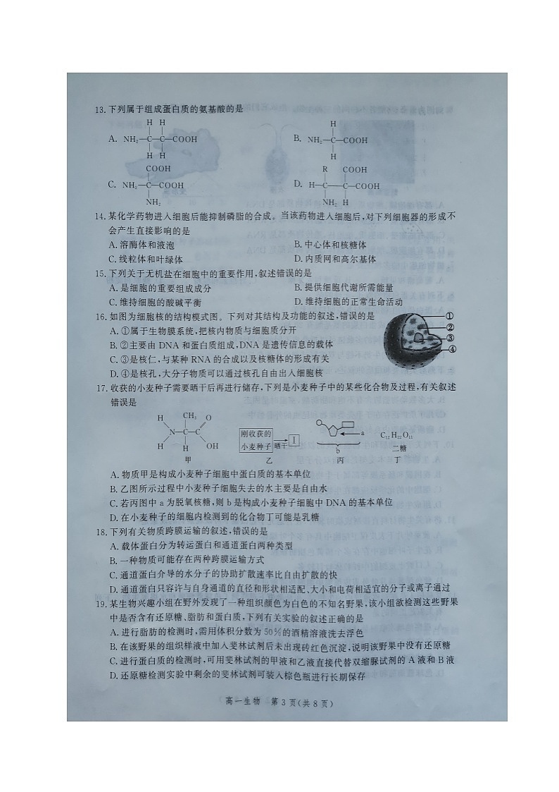 张家口市2021—2022学年高一年级第一学期期中考试生物试卷第3页