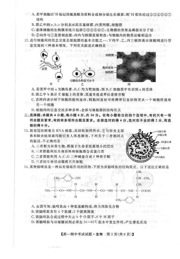 湖南省三湘名校联盟2021-2022学年高一上学期期中考试生物试题扫描版含答案03