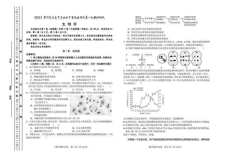 天津市河东区2021届高三下学期4月高中学业水平等级性考试第一次模拟考试（一模）生物试卷（PDF）第1页