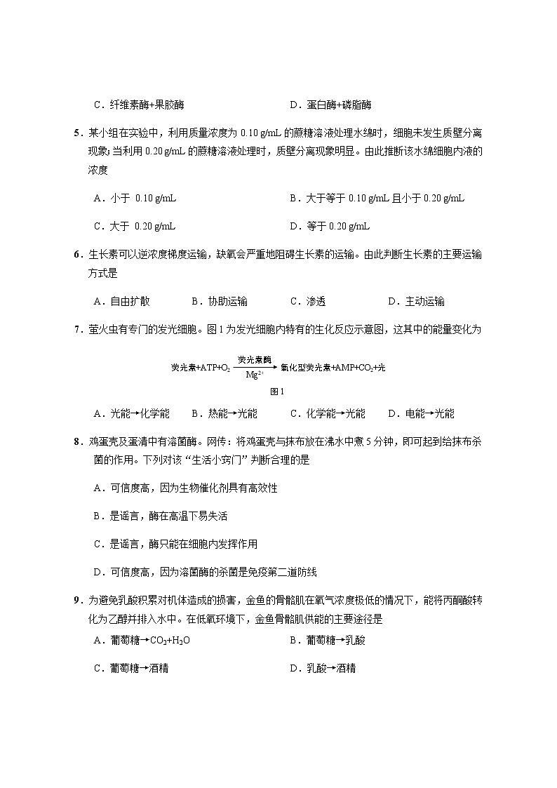 2020年上海市崇明区高三一模生物试卷及答案02