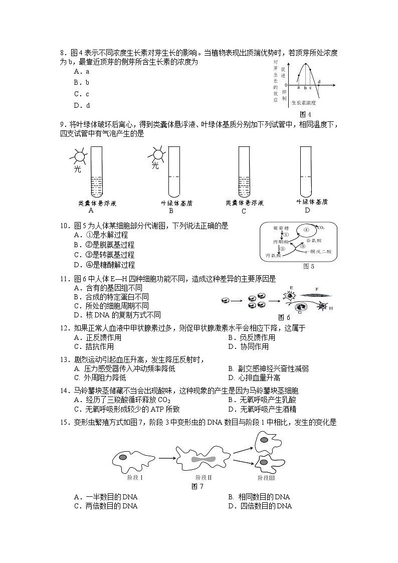 2020年上海市宝山高三一模生物试卷及答案第2页