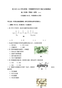 2020年上海市虹口高三一模生物试卷及答案