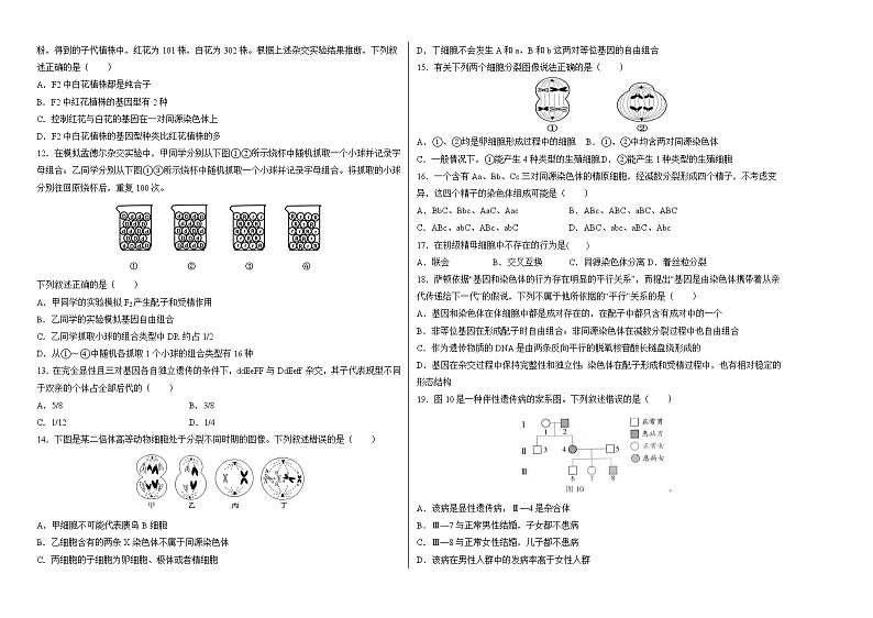 河南省郑州市2021-2022学年高二上学期期中考试生物【试卷+答案】02