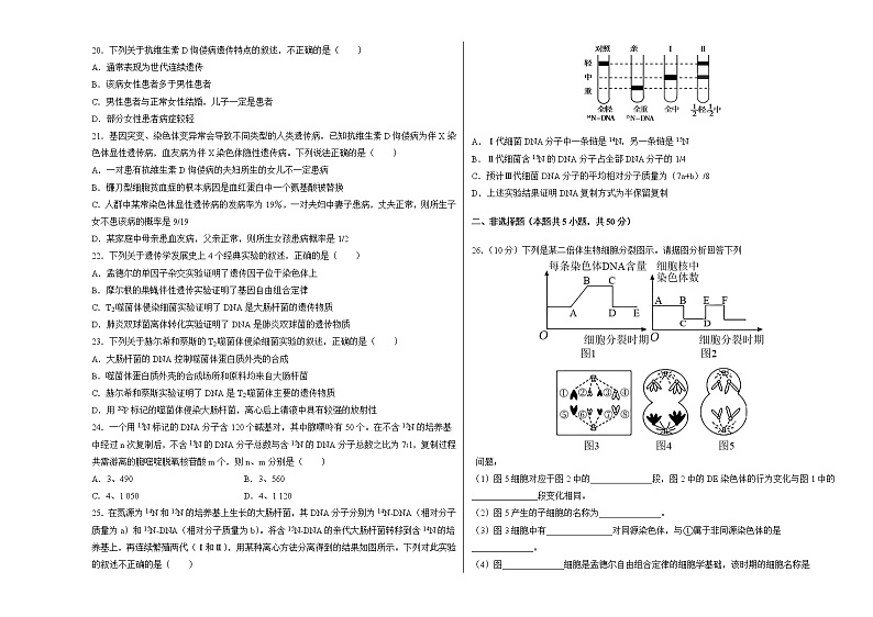 河南省郑州市2021-2022学年高二上学期期中考试生物【试卷+答案】03