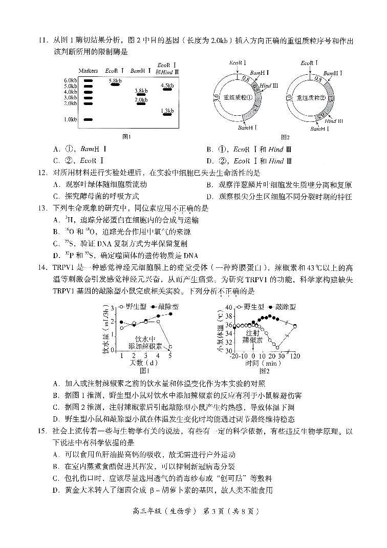 北京海淀区2021年11月高三第一学期期中练习试卷 生物03