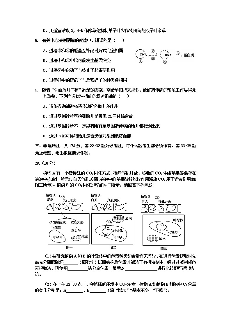 2022届陕西省宝鸡市金台区高三一模生物试题含答案（11月）02