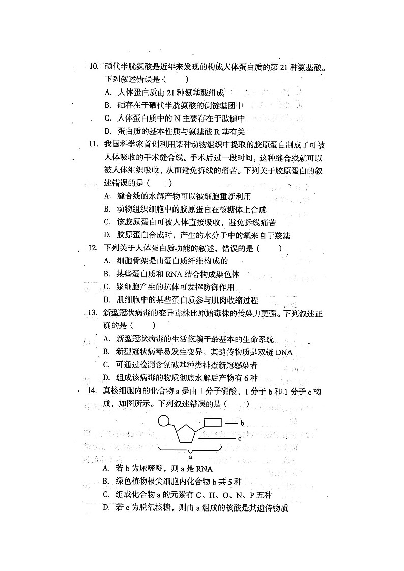 安徽省A10联盟2021-2022学年高一上学期期中联考生物试题扫描版含答案03