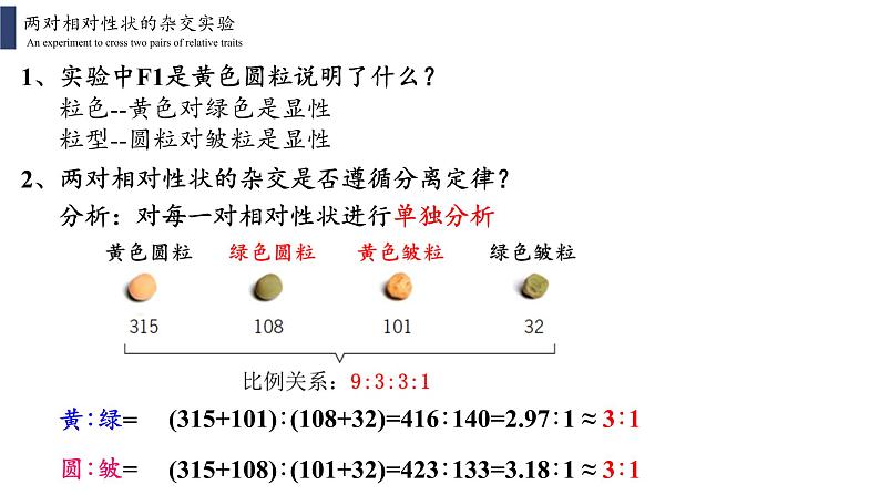 1.2.1 孟德尔的豌豆杂交实验(二)课件PPT第4页