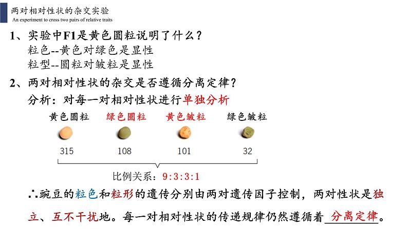 1.2.1 孟德尔的豌豆杂交实验(二)课件PPT第5页