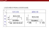 高效课堂同步课件：章末整合2《基因与染色体的关系》（必修2）