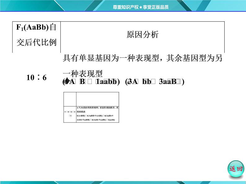 人教版必修2课件 第1章 第2节 小专题 大智慧 性状分离比偏离问题的分析第5页