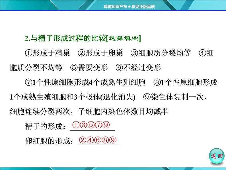 人教版必修2课件 第2章 第1节 第2课时 卵细胞的形成过程和受精作用06