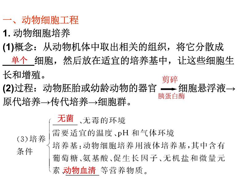 人教版高中生物选修三专题2细胞工程  2.2动物细胞工程（共22张ppt）02