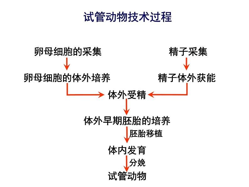 人教版高中生物选修三专题三胚胎工程  3-2 体外受精和早期胚胎培养（共18张ppt）03