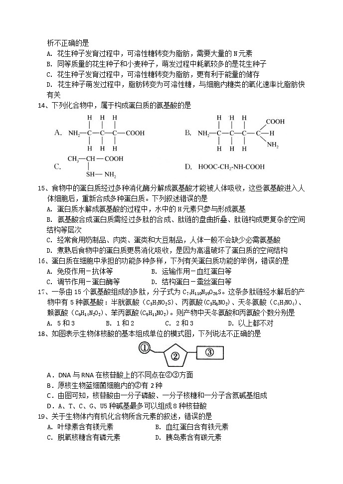 河南省实验中学2021-2022学年高一上学期期中考试生物含答案03