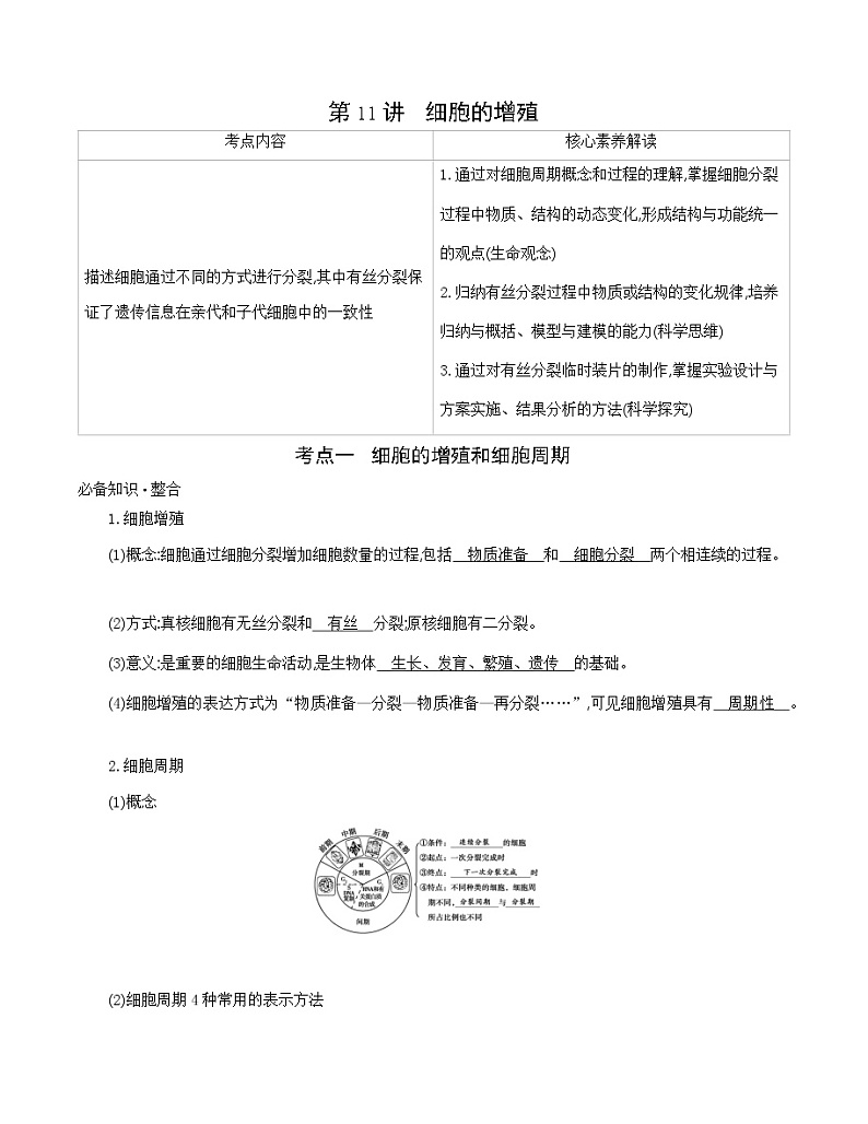 高考一轮复习第11讲　细胞的增殖学案01