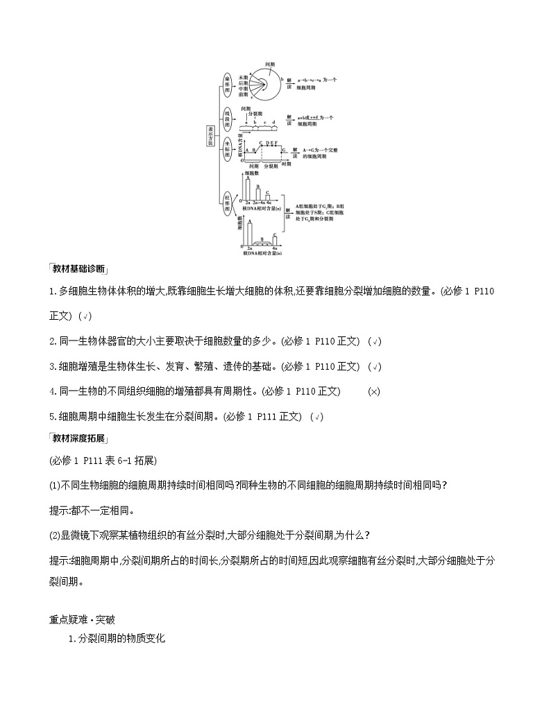 高考一轮复习第11讲　细胞的增殖学案02