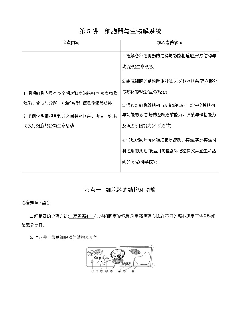 高考一轮复习第5讲　细胞器与生物膜系统学案第1页