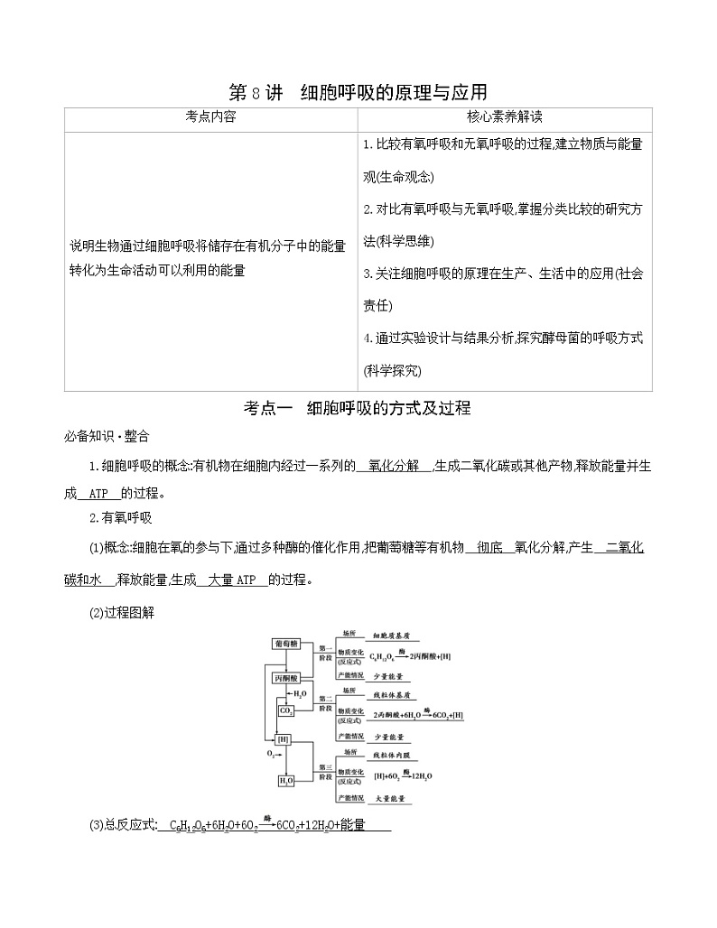 高考一轮复习第8讲　细胞呼吸的原理与应用学案第1页