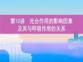 第10讲　光合作用的影响因素及其与呼吸作用的关系课件PPT