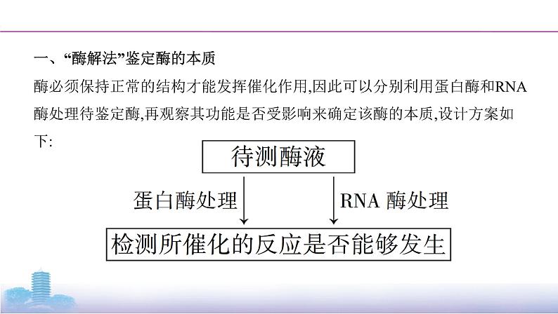 高考一轮复习拓展微课2　与酶相关的实验探究课件PPT第2页