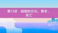 高考一轮复习第13讲　细胞的分化、衰老、死亡课件PPT