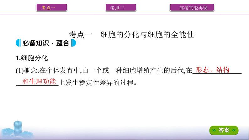 高考一轮复习第13讲　细胞的分化、衰老、死亡课件PPT02