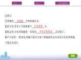 高考一轮复习第13讲　细胞的分化、衰老、死亡课件PPT