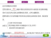 高考一轮复习第13讲　细胞的分化、衰老、死亡课件PPT