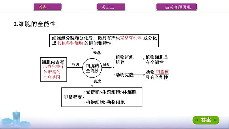 高考一轮复习第13讲　细胞的分化、衰老、死亡课件PPT05