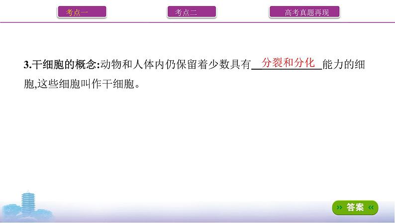 高考一轮复习第13讲　细胞的分化、衰老、死亡课件PPT06