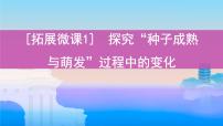 高考一轮复习拓展微课1 探究“种子成熟与萌发”过程中的变化课件PPT