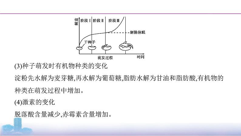 高考一轮复习拓展微课1 探究“种子成熟与萌发”过程中的变化课件PPT第4页