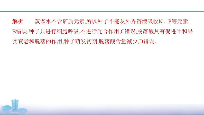 高考一轮复习拓展微课1 探究“种子成熟与萌发”过程中的变化课件PPT第6页