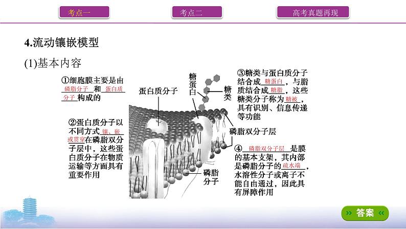 高考一轮复习第4讲　细胞膜与细胞核课件PPT第6页