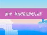 高考一轮复习第8讲　细胞呼吸的原理与应用课件PPT