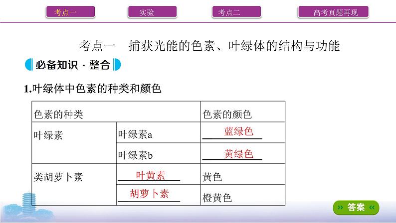 高考一轮复习第9讲　光合作用与能量转化课件PPT第2页