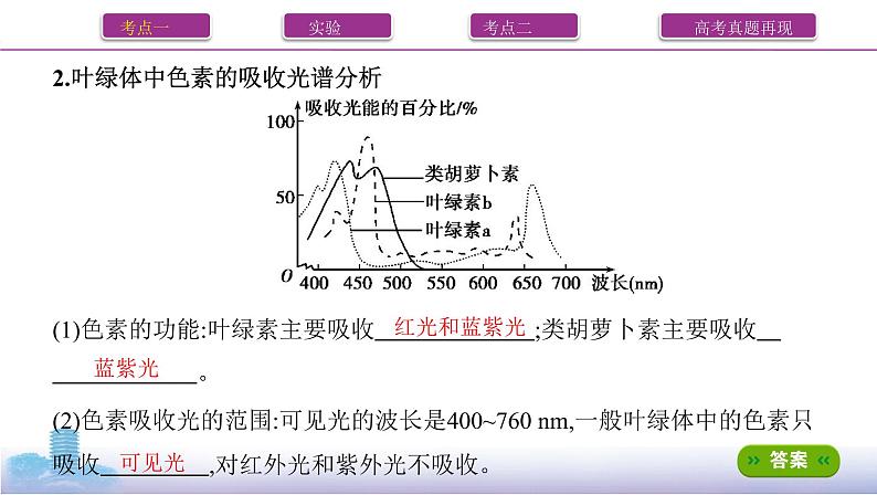 高考一轮复习第9讲　光合作用与能量转化课件PPT第3页