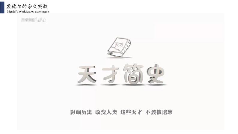 人教版2019必修2   1.1.1 孟德尔的豌豆杂交实验(一)课件PPT05