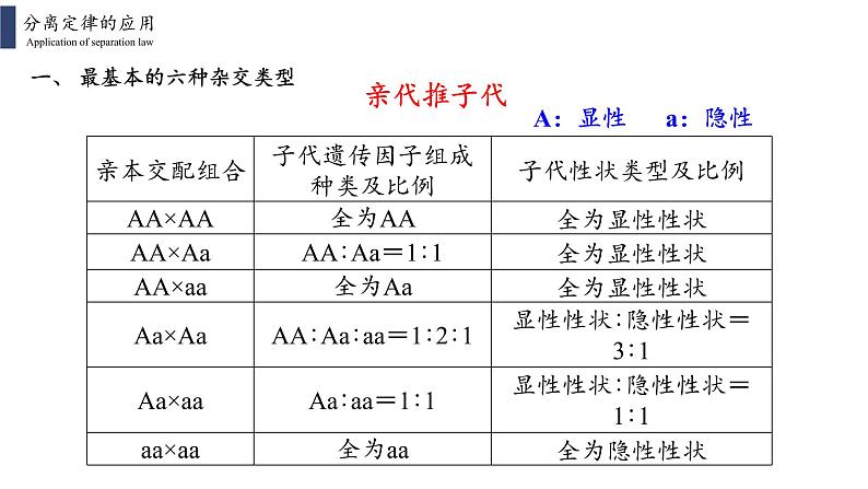 人教版2019必修2    1.1.2孟德尔的豌豆杂交实验(一)课件PPT03