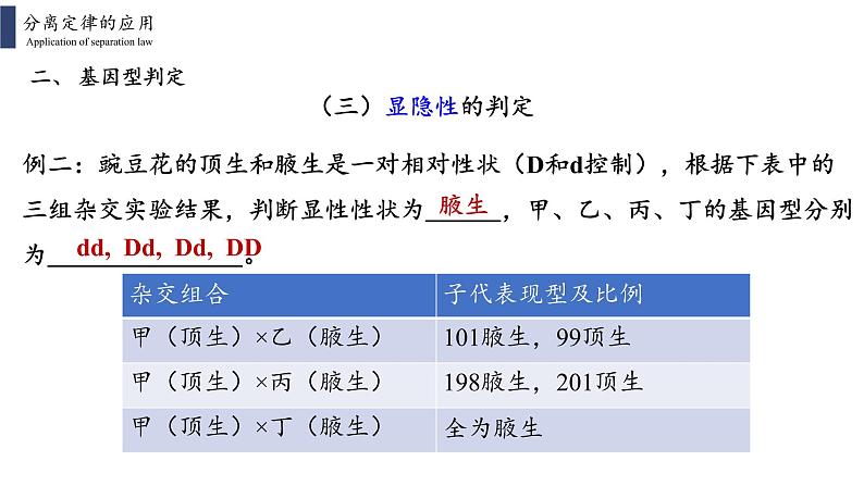 人教版2019必修2    1.1.2孟德尔的豌豆杂交实验(一)课件PPT07