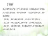 人教版2019选择性必修3      2.3 神经冲动的产生和传导课件PPT