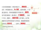 人教版2019选择性必修3      2.3 神经冲动的产生和传导课件PPT