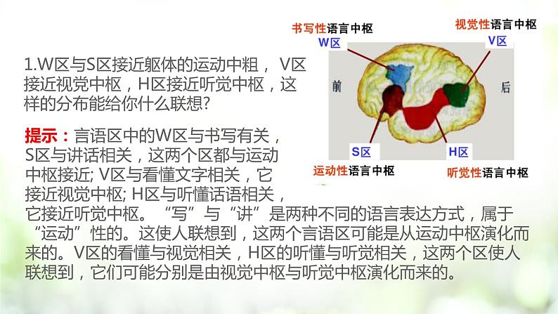 人教版2019选择性必修一2.5 人脑的高级功能课件PPT08