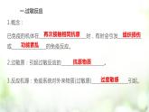 人教版2019选择性必修一4.3免疫失调课件PPT