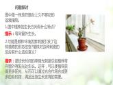 人教版2019选择性必修一5.1 植物生长素课件PPT