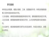 人教版2019选择性必修一5.2 其他植物激素课件PPT