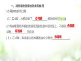人教版2019选择性必修一5.2 其他植物激素课件PPT